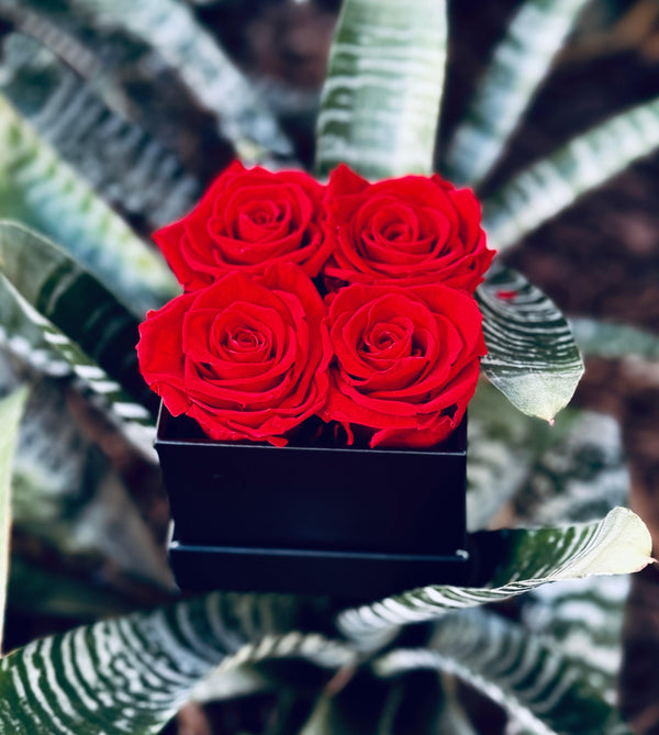 XS Black Square Box - Preserved Roses - Madame De Fleur