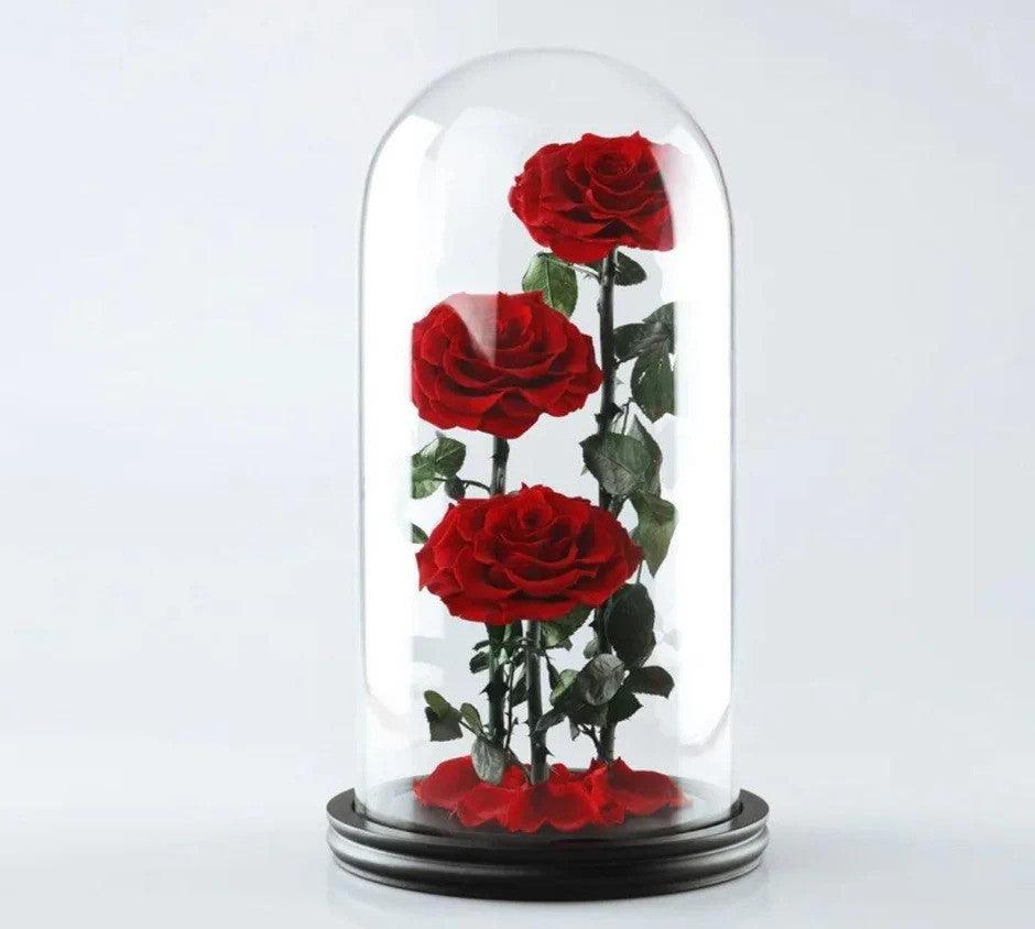 De Lux Belle Trio Red Preserved Roses