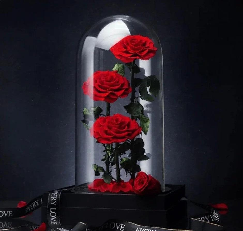 De Lux Belle Trio Red Preserved Roses