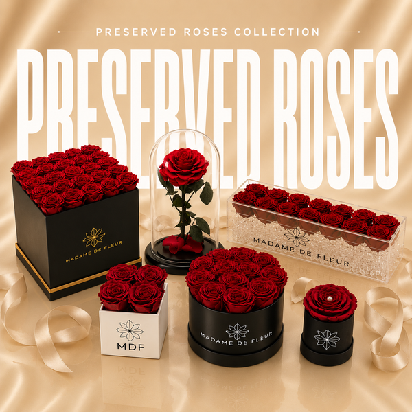 Same-Day Preserved Rose Delivery Miami