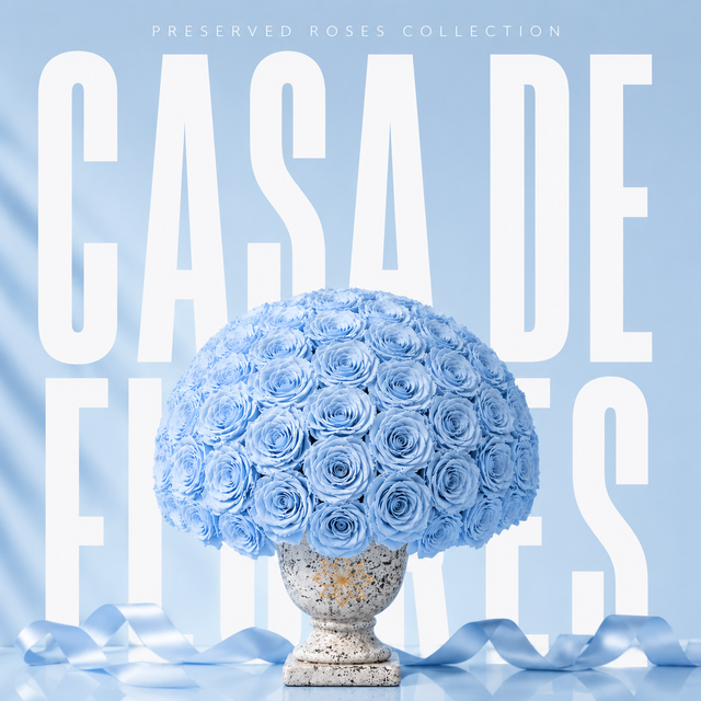 Casa De Flores Collection