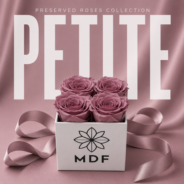 Petite Preserved Roses Collection