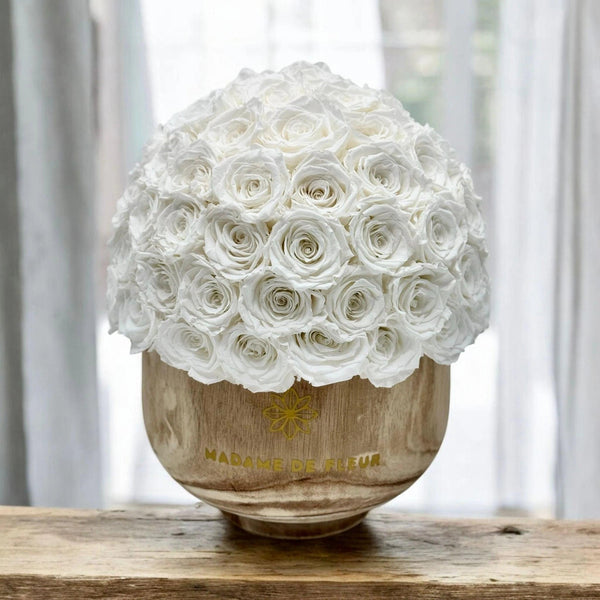 Casa De Flores Collection