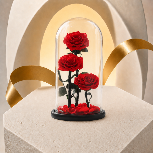 Belle Trio Red Preserved Roses