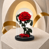 Beauty & The Beast - Red Preserved Rose - Madame De Fleur