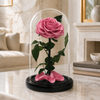 Beauty & The Beast Pink Preserved Rose