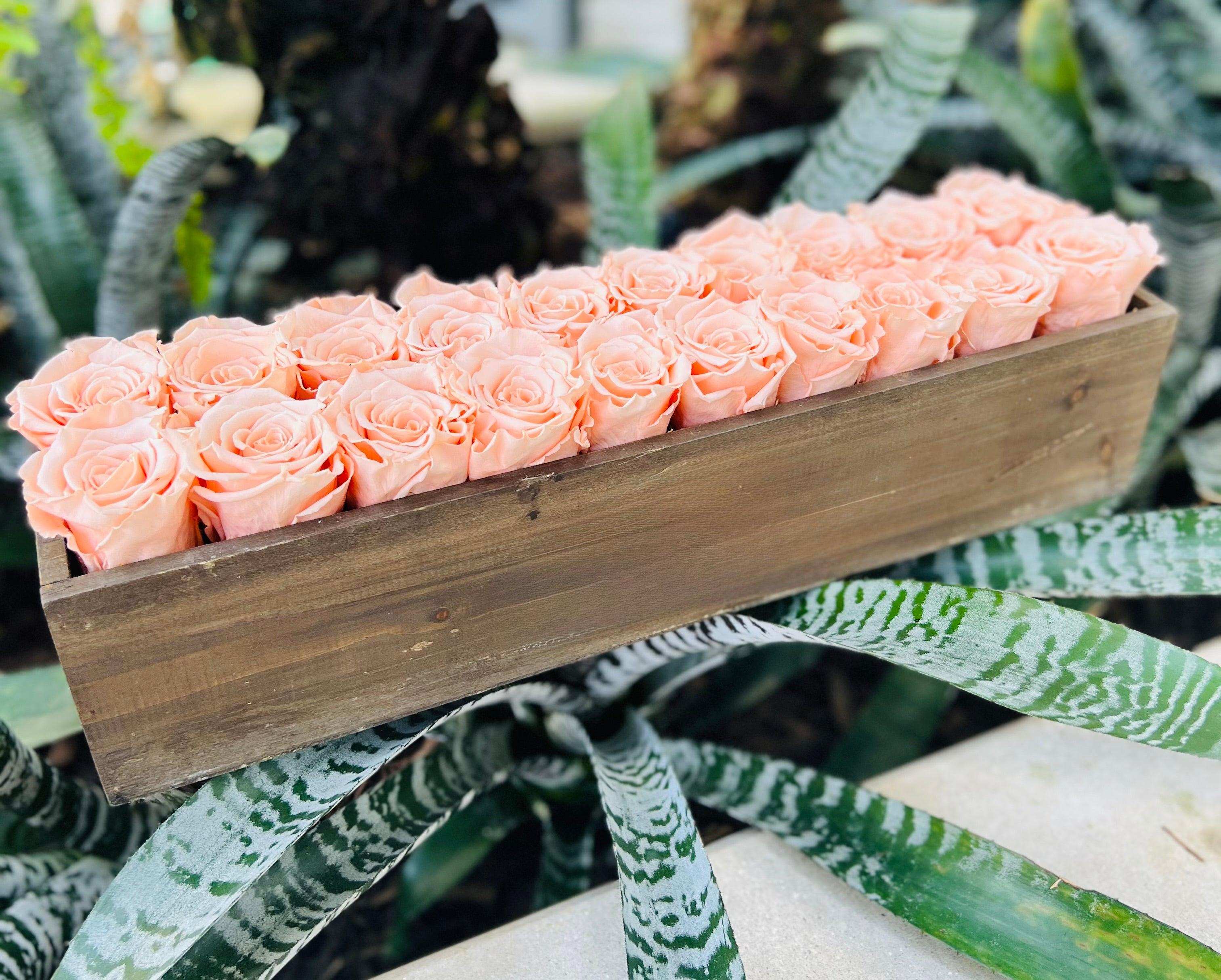 Terracotta Bliss - Preserved Roses - Madame De Fleur