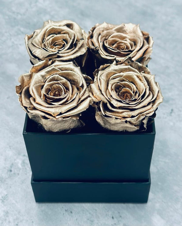 XS Black Square Box - Preserved Roses