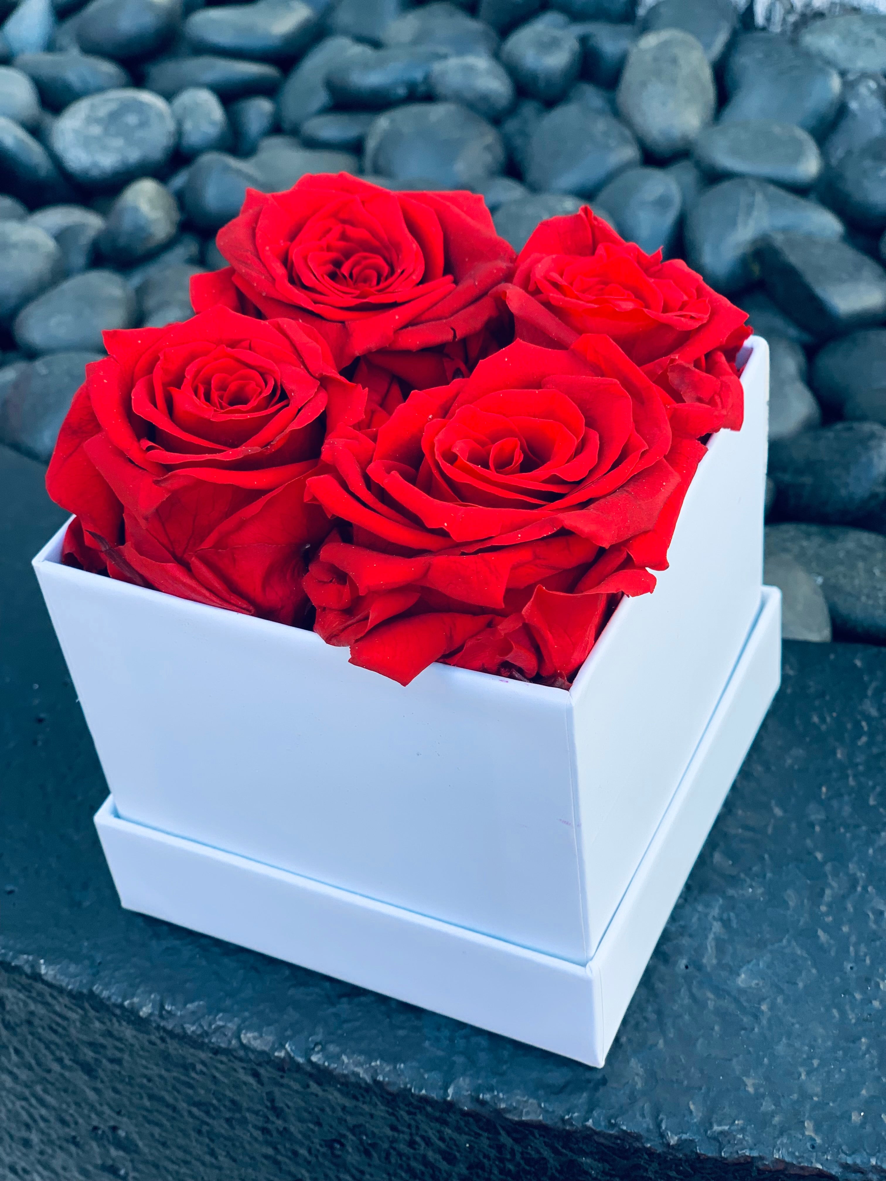 XS White Square Box - Preserved Roses