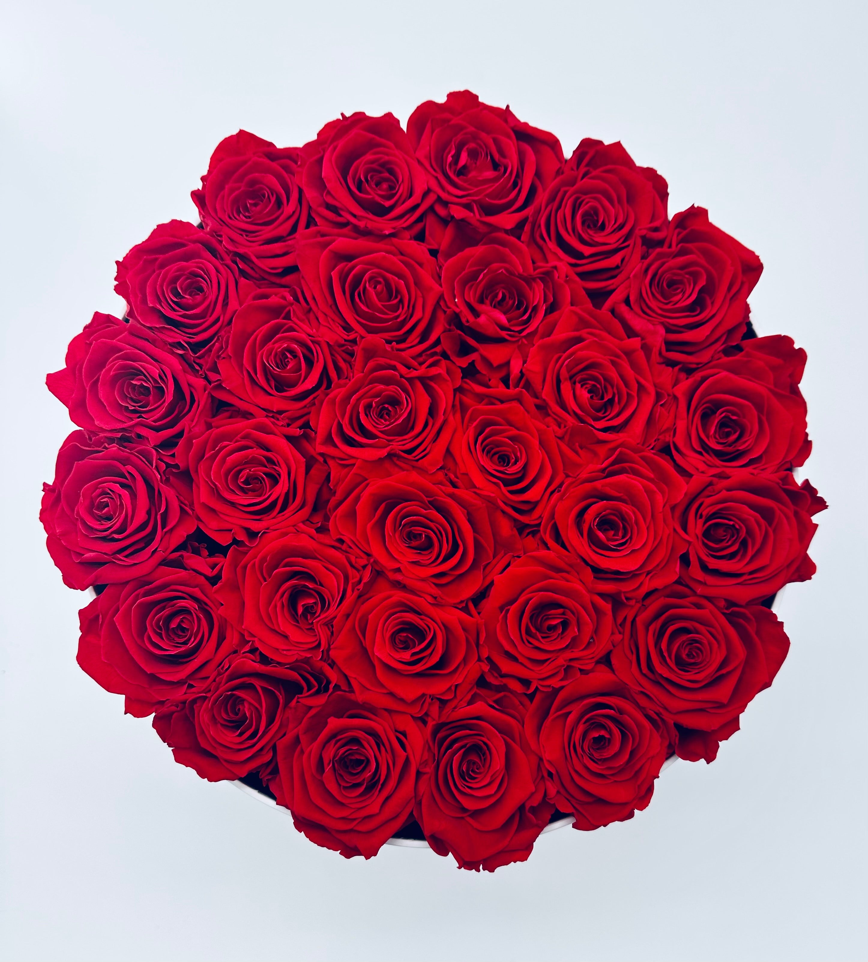 XL White Round Box - Preserved Roses