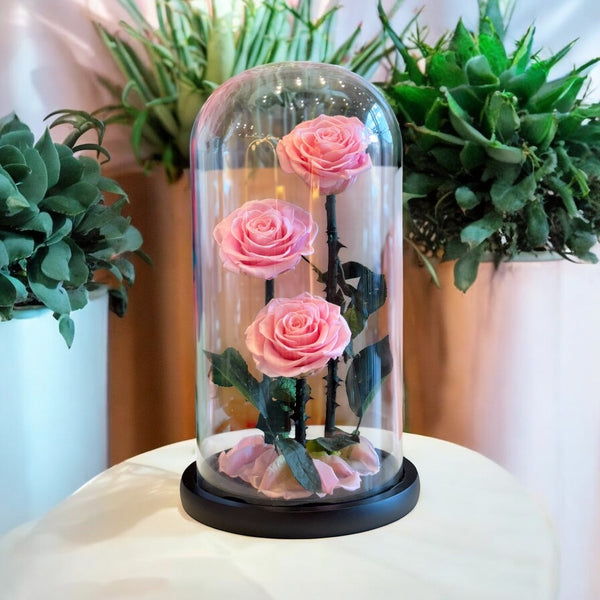 La Belle et La Bête Trio Pink Preserved Roses