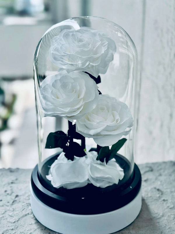 Belle Trio White Preserved Roses