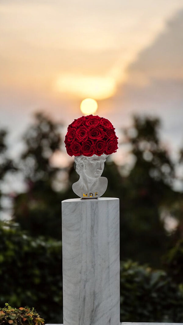 Greek Statue Dome Vase  - Preserved Roses