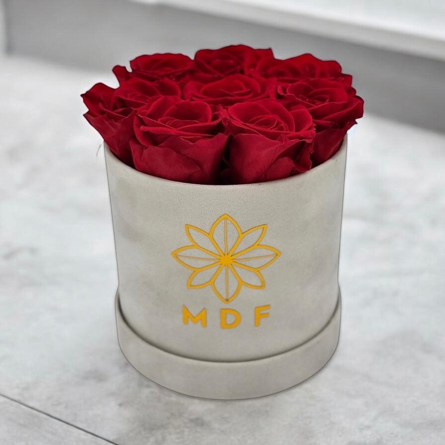 XS Round Box - Preserved Roses - Madame De Fleur