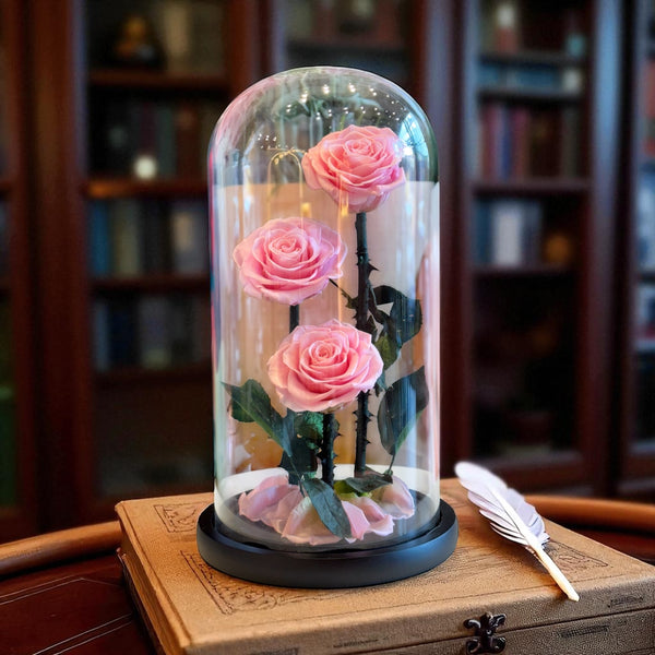 La Belle et La Bête Trio Pink Preserved Roses