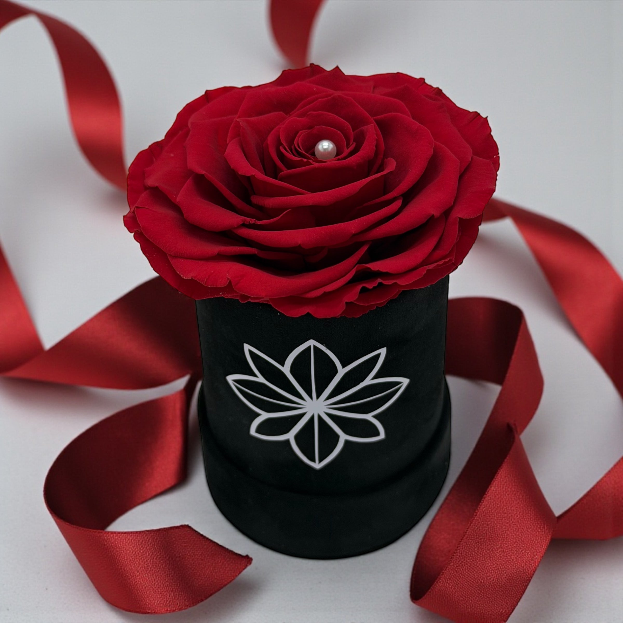 Single Suede Jumbo Rose Box - Preserved Rose - Madame De Fleur