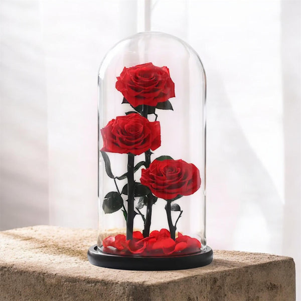 Belle Trio Red Preserved Roses - Madame De Fleur