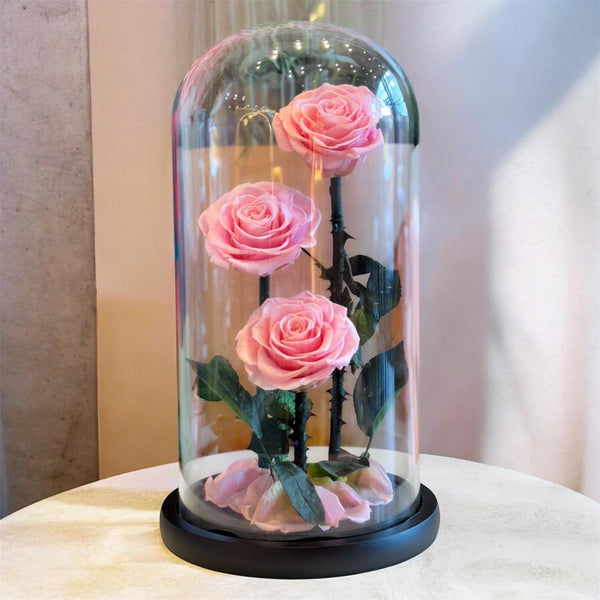 Belle Trio Pink Preserved Roses