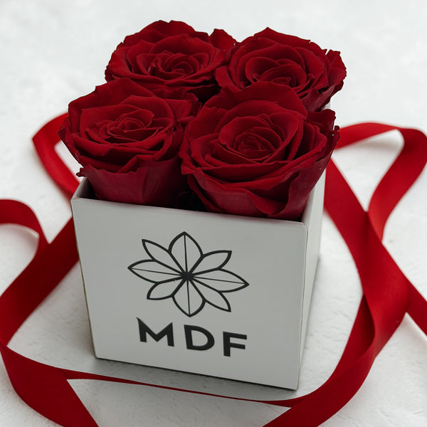 XS White Square Box - Preserved Roses