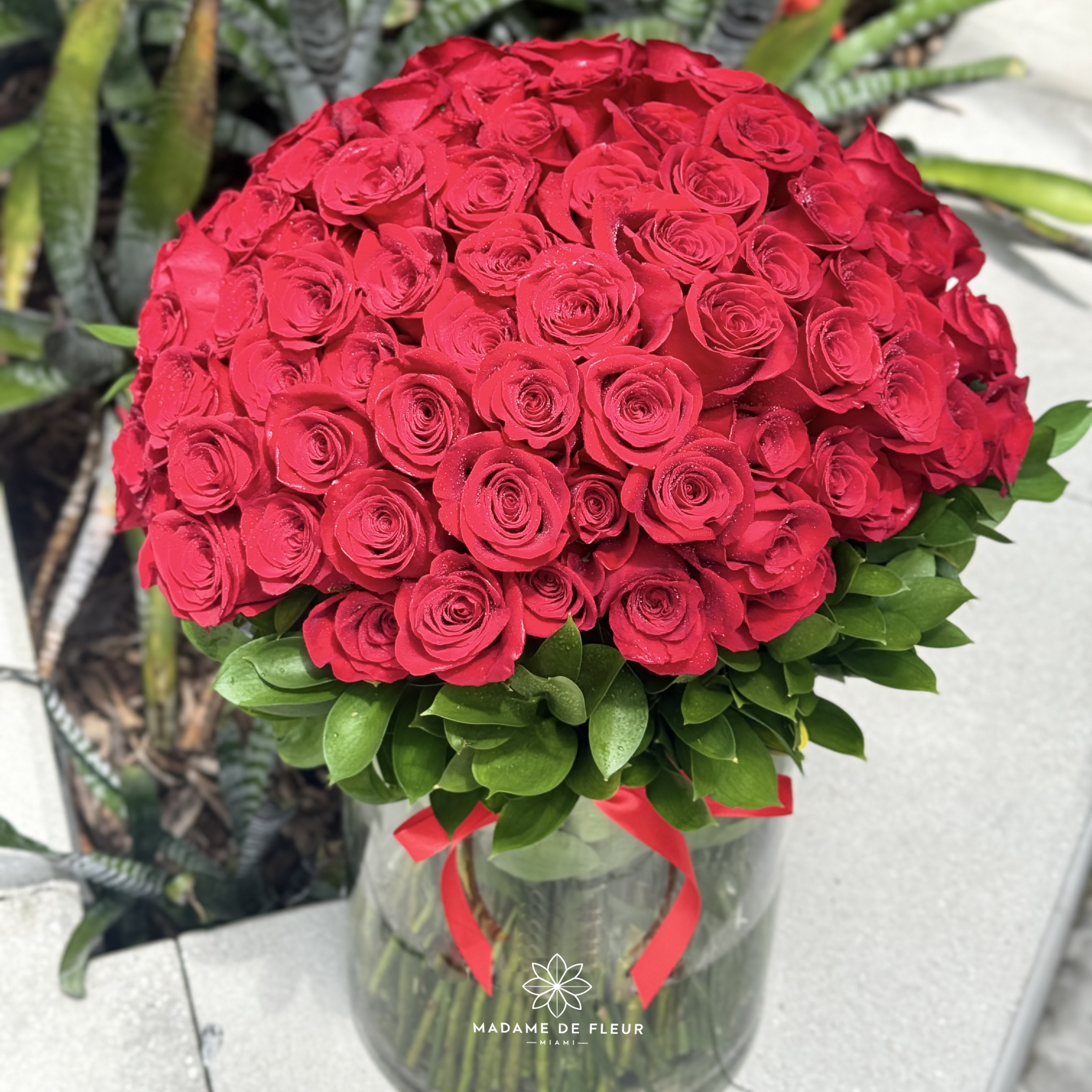 Classic MDF 100 Fresh Roses - PRE ORDER 24H IN ADVANCE