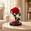Beauty & The Beast - Red Preserved Rose — lifestyle photo