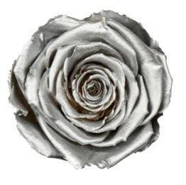 Middle Silver