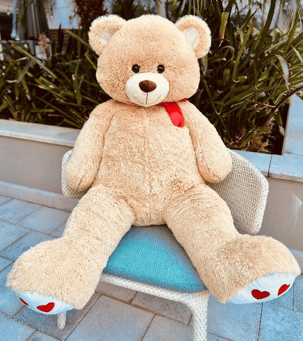 Plush Teddy Bear
