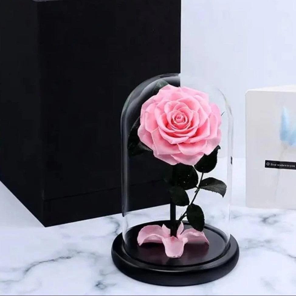 Beauty & The Beast Pink Preserved Rose
