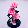 Belle Trio Pink Preserved Roses
