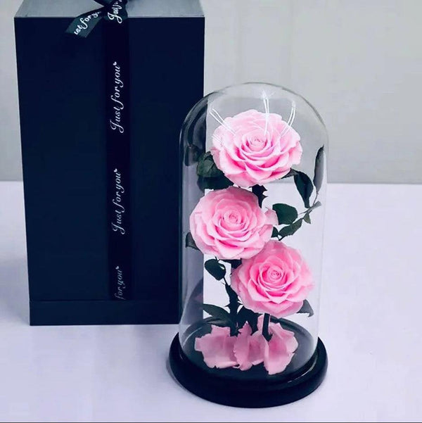 Belle Trio Pink Preserved Roses
