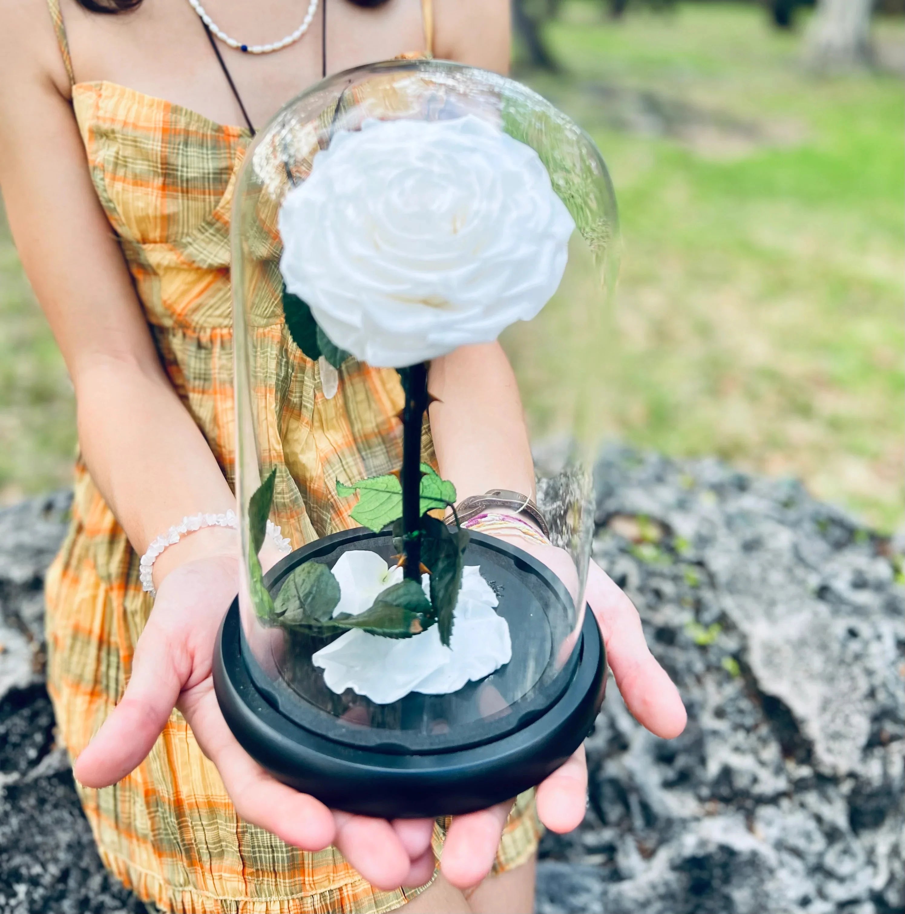 Fresh Roses Arrangements - Fresh Roses in Miami