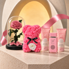 MUSE No. 01 La Rosée bundle with a pink rose bear, Blush Petals gift set and preserved pink rose under glass.
