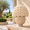 Sandora cream fluted urn with ivory preserved roses on a sunlit terrace